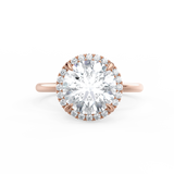 Round Halo Plain