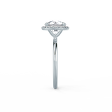 Round Halo Plain