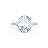 Oval Hidden Halo