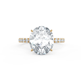 Oval Hidden Halo