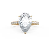 Pear Hidden Halo