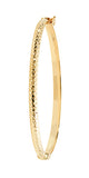 Gold Bangle - BN394