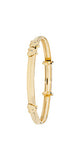Gold Bangle - BN404