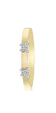 Gold Bangle - BN427