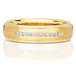 9ct Yellow Gold Diamond 0.17ct Ring - RD706/Y