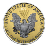 SET OF 2 AMERICAN EAGLE EXCLUSIVE SILVER COINS